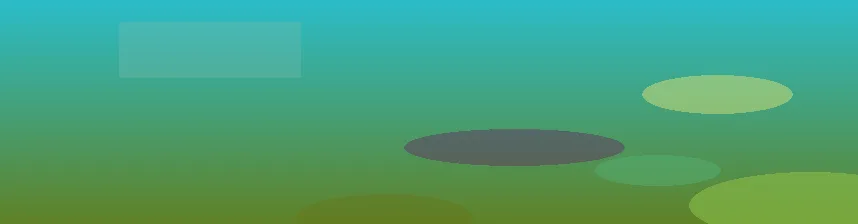 星空体育